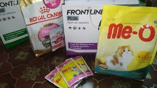 Best Cat/Kitten Food For Persian Cats..Feeding Cat Food For Healthy Growth..