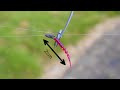 These Microscopic Lures Catch The Biggest Fish In The Canal