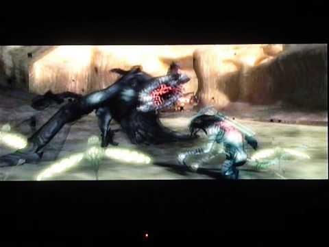 Link vs. Shadow Kargarok