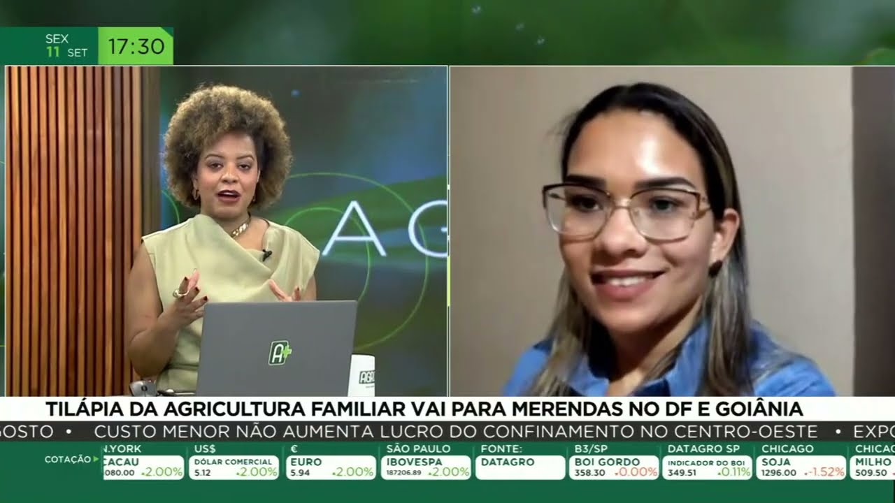 Tilápia da agricultura familiar vai para merendas no DF e Goiânia