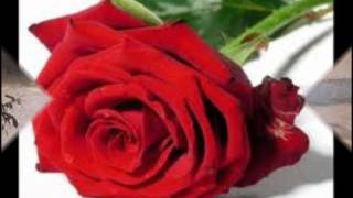 CAPRICHOS DO DESTINO - SORRIS DA MINHA DOR - ROSA - CARLOS JOSÉ