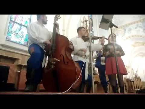 Kapela - Leć muzyczko - oprawa ślubu Podkarpackie