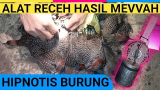 Download lagu HIPNOTIS BURUNG, ALAT RECEH HASILNYA MEVVAH 😱 #shorts #hipnotis #burung mp3