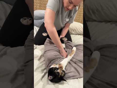 Back by popular demand….will it swaddle?