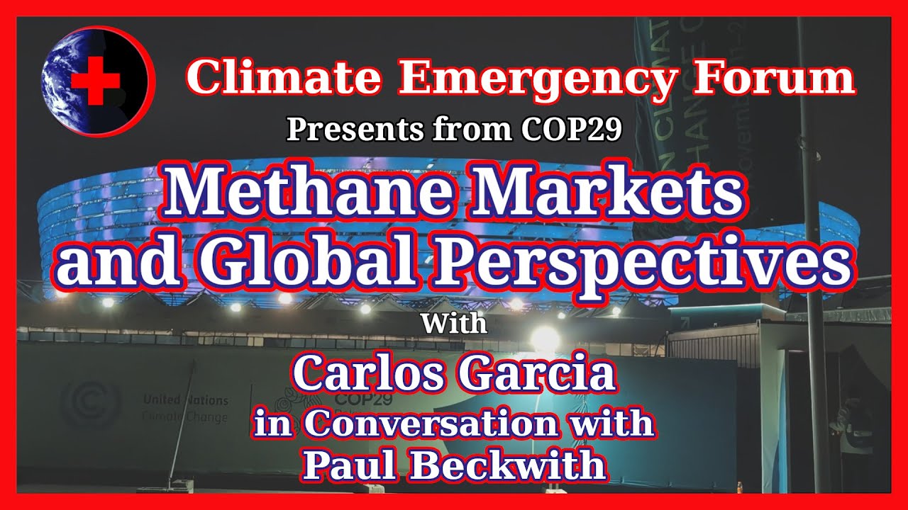 Methane Markets and Global Perspectives