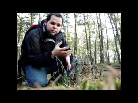 Szkoła przetrwania po polsku