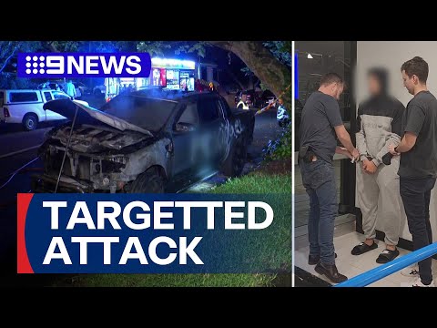 Man behind antisemitic vandalism claims he is a changed man | 9 News Australia