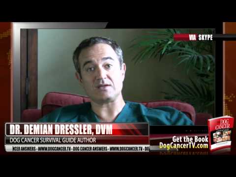 What Is Cachexia and What to Do