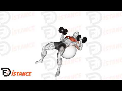 Développé couché avec haltères sur ballon (Swiss Ball) - Exercice Développé couché avec haltères sur ballon (Swiss Ball) en vidéo