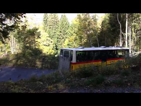 Postauto Rosenlauital