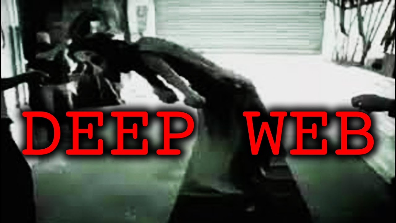 DEEP WEB: El rincón más OSCURO del INTERNET