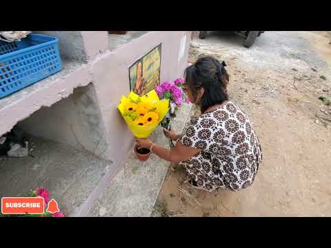 Nos fuimos Para el cementerio de shin shin gualan zacapa Guatemala 