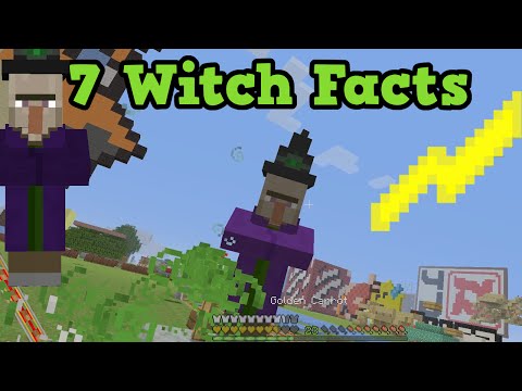 Minecraft 7 Things You Didn't Know About Witches!