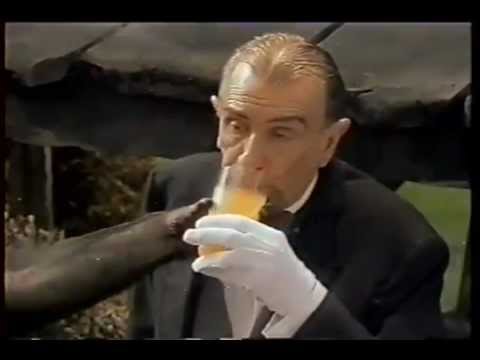 Propaganda do Suco Tang   1995