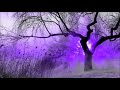 Spitz Rock Winter Song 01 15 2019
