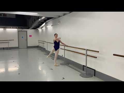 Tamar Moross Barre work