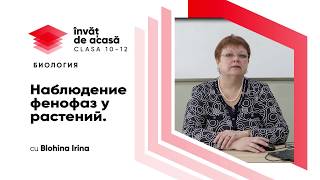 "Наблюдение фенофаз у растений"