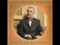 Am Muncit Si Nopti Am Muncit Si Zile Gheorghe Dinica Karaoke Incepatori