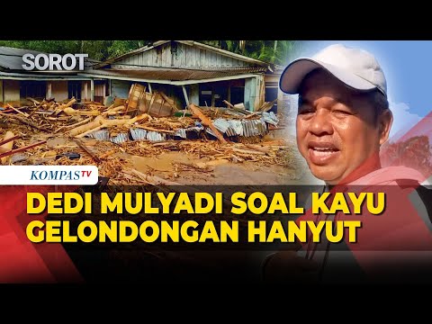 Dedi Mulyadi Highlights Logs Swept Away by Floods in Sumatra