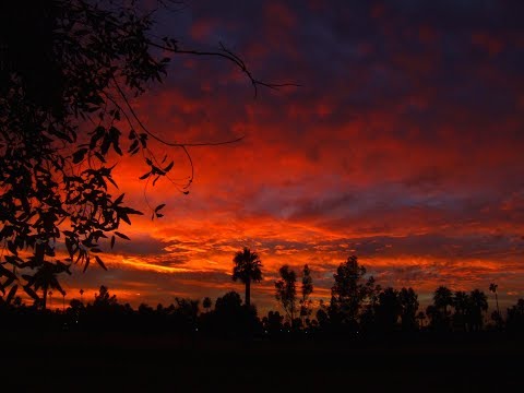 Jean by Oliver ( Original Hit Version ) 1969