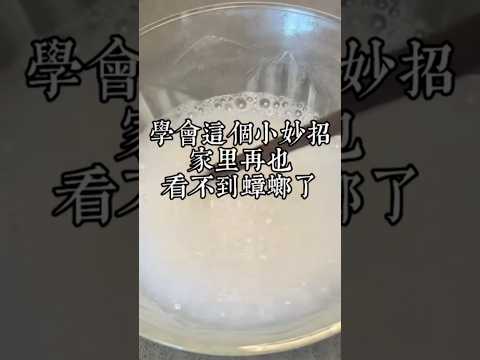 家裡有蟑螂的，千萬不要去買蟑螂藥了，吸進身體里太不健康了，今天教你一個小妙招，學會以後家裡再也看不到蟑螂了！！！ #蟑螂克星 #消滅蟑螂