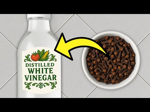 Start Using CLOVES And VINEGAR Like THIS - It Really Works!