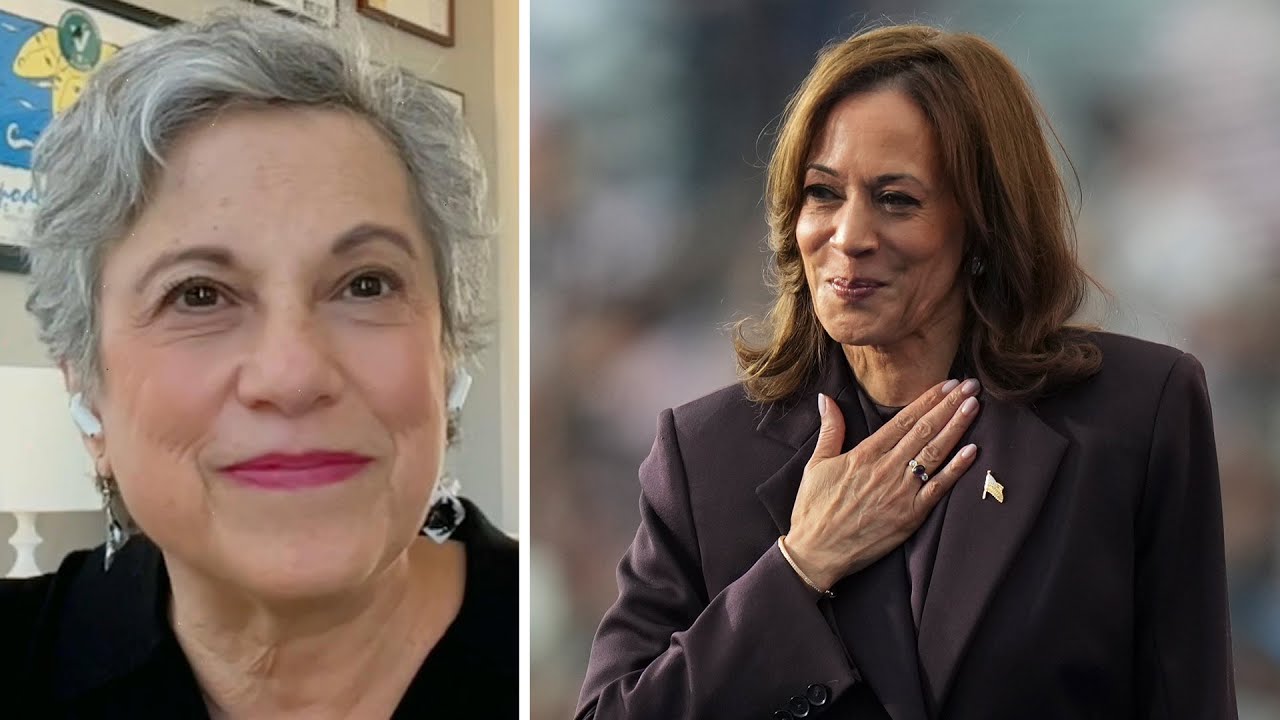 What went wrong in Harris's campaign? | Strategist says Democrats message 'didn't reach voters'