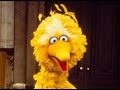 Sesame Street Compilation 32