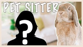 How To Prepare for a Pet Sitter
