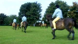 preview picture of video 'Exmoor Ponies Musical Ride'