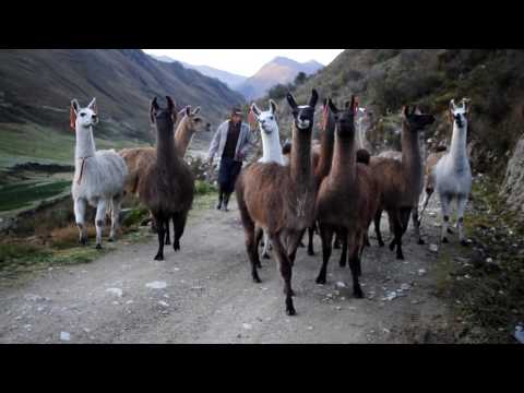 Emil Witt - Peru x Andy x Amazonia