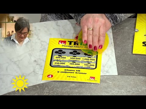 Trissvinnare: "Vi ska rusta upp bardummet, men det finns så mycket mer man kan göra" - Nyh