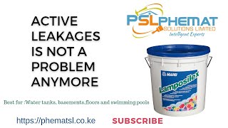 MAPEI LAMPOSILEX 5Kg