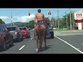TRY NOT TO LAUGH WATCHING FUNNY FAILS HD VIDEOS 2022 #205