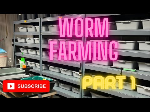 PART 1---Harvesting the European Night Crawler Nursery Bin, I'm using the motor operated Harvester.