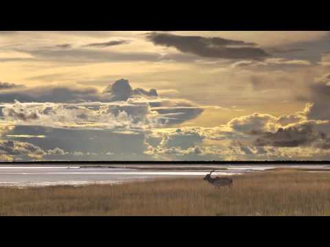 Will Atkinson - "Afterthought" [NightVision]