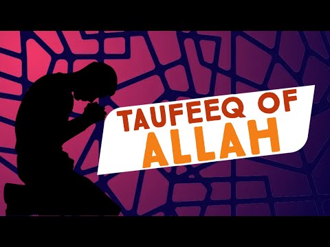 TAUFEEQ OF ALLAH ¦ 1Path2Peace