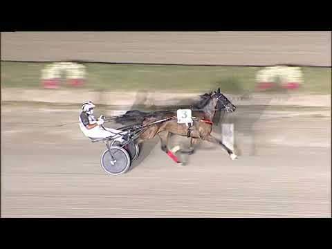 Napoli Trotto 30/06/2023 - 3ª prova di qualifica