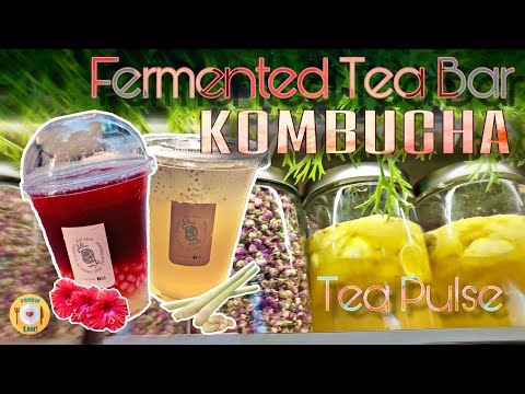 download lagu mp3 mp4 Organic Kombucha Singapore, download lagu Organic Kombucha Singapore gratis, unduh video klip Organic Kombucha Singapore