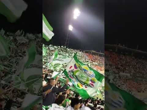 "Y Acordare Rojo Amargo, 45 Años Demoro Salir Campeón " Barra: Los del Sur &bull; Club: Atlético Nacional &bull; País: Colombia