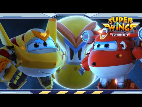 Witness21 Editor  2022 05 21