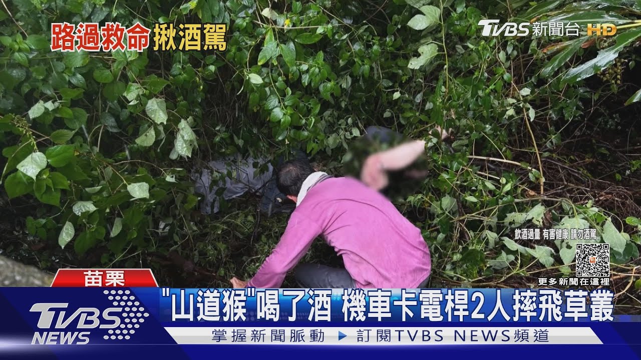 「山道猴」喝了酒! 機車卡電桿2人摔飛草叢