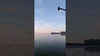 Fishing Planet Blue Crab Island Unique Tarpon #fishingplanet #gaming #fishing #ps4