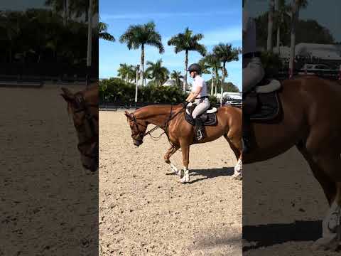 Gold Link video 6