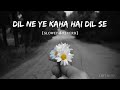Dil Ne Yeh Kaha Hai Dil Se Slowed Reverb Udit Narayan Alka Yagnik Dhadkan Lofi Music Lofi