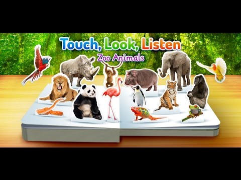Zoo Animals Video