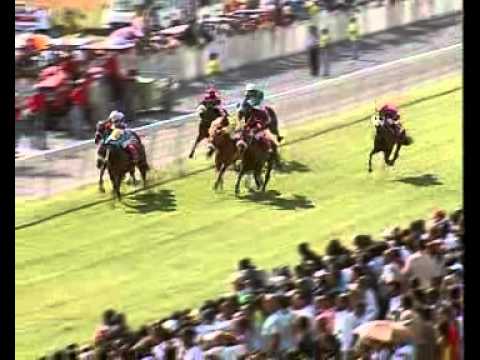 Weekend International 2011: 5e course - Capitaine (Burke)