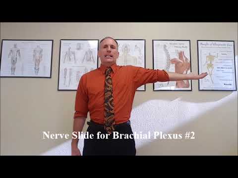 Brachial Plexus Nerve Slide #2 for Thoracic Outlet Syndrome