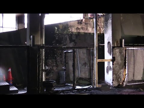 Roma, nuovo rogo a Centocelle, bruciata una palestra: "Questa ormai è zona di guerra"