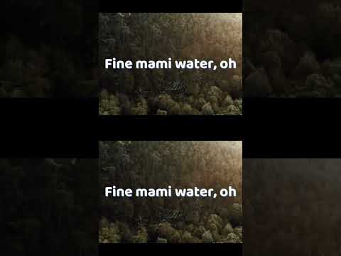 Bien, Adenkule Gold ft Shine TTW - Wahala (Lyric Video) #music #amapiano #afrobeat #bien #wahala